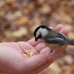 konsep rezeki