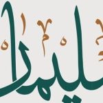 Nabi Sulaiman